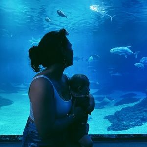 Meet your Posher, Kia